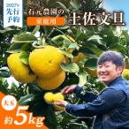 石元農園の土佐文旦 大玉 約5キロ