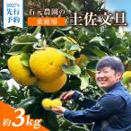 石元農園の土佐文旦 約3キロ〈2027年2月