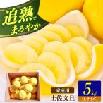 土佐文旦の創始 宮地文旦園の土佐文旦 小玉