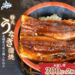 老舗寿司屋の職人仕込み 300g×2枚