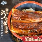 老舗寿司屋の職人仕込み 300g×4枚
