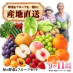 諫早産 旬の野菜&フルーツ詰め合わせ 9