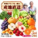 諫早産 旬の野菜&フルーツ詰め合わせ 9
