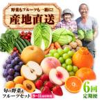 諫早産 旬の野菜&フルーツ詰め合わせ 9