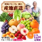 諫早産 旬の野菜&フルーツ詰め合わせ 9