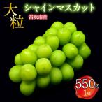 大粒シャインマスカット 550g以上