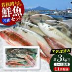 若狭湾鮮魚セットおまかせ3kg以上 6~8魚種