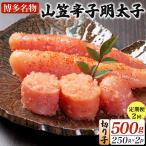 稲石 博多名物 山笠辛子明太子500g 250g×2個