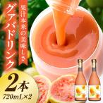 驚きの果実感 グァバドリンク2本セット 720ml×2本