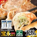 手包み餃子 ぎょうざの宝永 宝永餃子20個セット