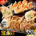 手包み餃子 ぎょうざの宝永 生姜餃子60個セット
