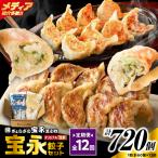 手包み餃子 ぎょうざの宝永 生姜餃子60個セット