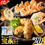 手包み餃子 ぎょうざの宝永 手羽餃子20個セット