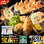 手包み餃子 ぎょうざの宝永 手羽餃子20個セット