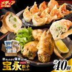 手包み餃子 ぎょうざの宝永 手羽餃子40個セット
