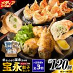 手包み餃子 ぎょうざの宝永 宝永餃子40個セット