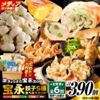 手包み餃子 ぎょうざの宝永 5種食べ比べセット 65個入