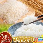 米 全3回定期便 辺塚産 あきほなみ 5kg×3カ月連続