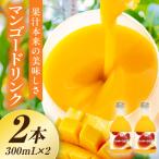 あふれる果実感 ハーフボトル マンゴードリンク