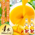 あふれる果実感 ハーフボトル マンゴードリンク