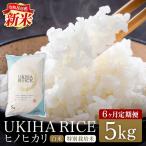 米 玄米 UKIHA RICE 5kg×6回