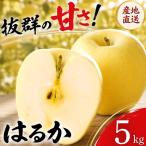 りんご はるか 5kg