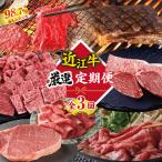 近江牛 厳選定期便 -C-