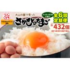 坂本養鶏 大山の麓で育った さかもとのたまご 72個