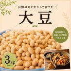 豆 大豆 3kg