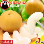 梨 くまもと梨 1kg
