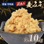 味噌 訳あり 麦味噌 約 10kg