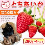 ねこといちご とちあいか280g×4パック
