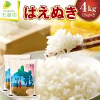 はえぬき 4kg