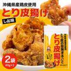 とり皮の旨味まるごととり皮揚げ2袋 UA03-001