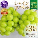 産厳選旬のシャインマスカット1kg以上2房×3回