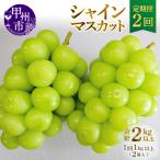 産厳選旬のシャインマスカット1kg以上2房×2回