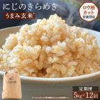 定期便 にじのきらめき うまみ玄米 5kg×12回