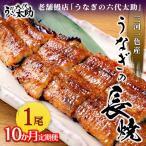 老舗鰻店 うなぎの六代太助 三河一色産 うなぎの長焼 1尾