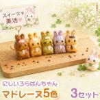 店長オススメ5色アソート 5個入 3セット