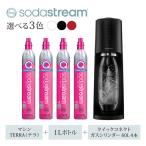 テラスターターキット ブラック +クイックコネクト新規ガス…