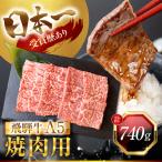 飛騨牛 A5 焼肉用 定期便 740g