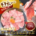 飛騨牛 A5 しゃぶしゃぶ用 定期便 ロース肉 720g