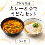 さぬきうどん カレーうどん セット 8人前