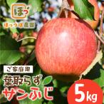 りんご サンふじ 5kg