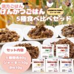 犬用 げんかつごはん レトルト食べ比べセット
