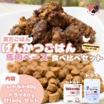 犬用 げんかつごはん金 馬肉ベース ドライ&レトルト食べ比…