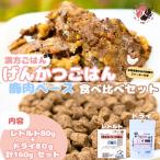 犬用 げんかつごはん水 鹿肉ベース ドライ&レトルト食べ比…