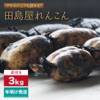 れんこん3kg 泥付き