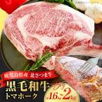 北さつま牛 トマホーク K137-008