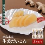 国内産 原料使用 生姜だいこん 3本